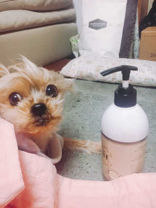 YeonwooKim님이 올린 리뷰 사진 1