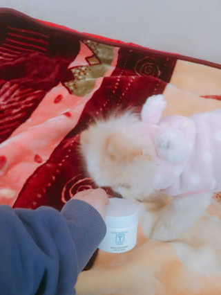 SN 에스엔 티크림 — 4.83점을 준 리뷰어가 2017년 12월 올린 사용 사진