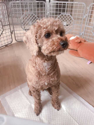 유탱블님이 올린 리뷰 사진 2