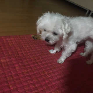 홍시님이 올린 리뷰 사진 3