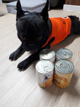 토르맘님이 올린 리뷰 사진 2