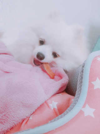 한놔님이 올린 리뷰 사진 4