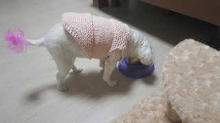 이연님이 올린 리뷰 사진 4
