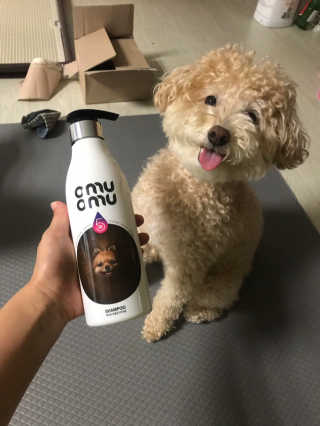 모모맘님이 올린 리뷰 사진 1