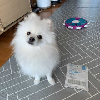단미콘님이 올린 리뷰 사진 4