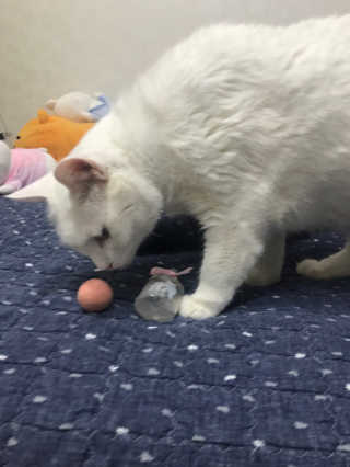달콤님이 올린 리뷰 사진 2