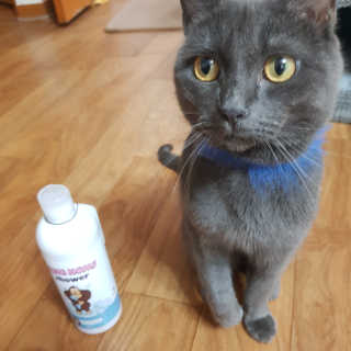 J님이 올린 리뷰 사진 2