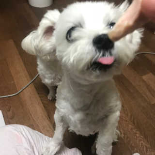 민수님이 올린 리뷰 사진 3