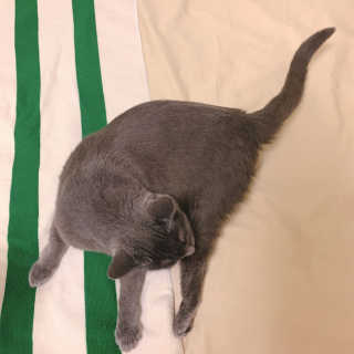 경던님이 올린 리뷰 사진 3