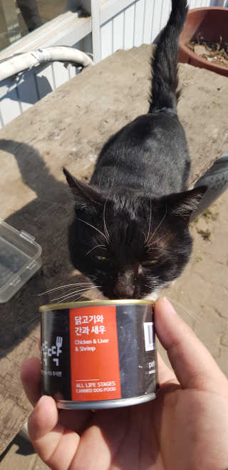 공팔리터님이 올린 리뷰 사진 2