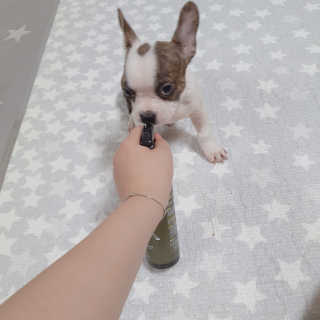 주여니이님이 올린 리뷰 사진 4