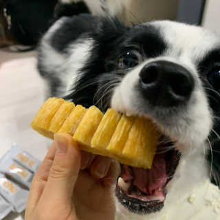 드센님이 올린 리뷰 사진 4