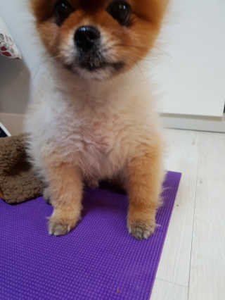 성유진님이 올린 리뷰 사진 4