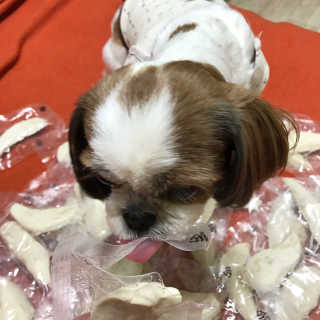 소연님이 올린 리뷰 사진 2