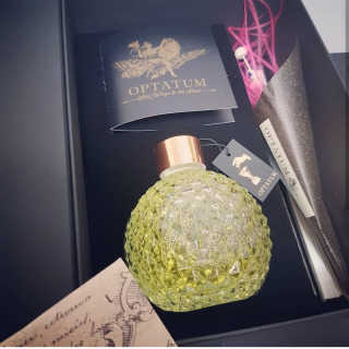 당신의 향을 찾아 드리는 옵타움디퓨저 200ml — 5점을 준 리뷰어가 2018년 5월 올린 사용 사진