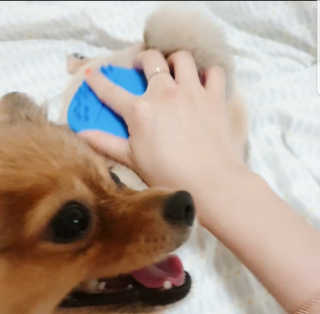 은선이짱님이 올린 리뷰 사진 3