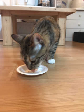 채꽃신님이 올린 리뷰 사진 2