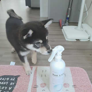 dahee♡님이 올린 리뷰 사진 2