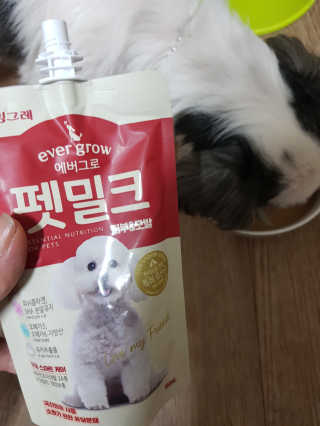 [빙그레] 에버그로 생유산균 1봉（10포입）+펫밀크2팩 — 5점을 준 리뷰어가 2019년 3월 올린 사용 사진