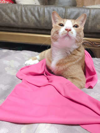 하린님이 올린 리뷰 사진 2