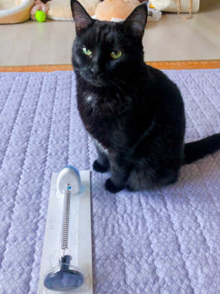 레옹이쁘니님이 올린 리뷰 사진 1