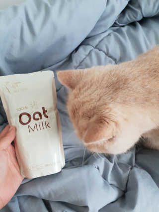 순오트밀크, soon oat milk — 4.33점을 준 리뷰어가 2018년 11월 올린 사용 사진
