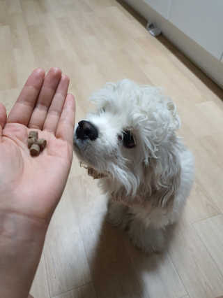 째니니님이 올린 리뷰 사진 2