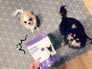 은쓸님이 올린 리뷰 사진 1