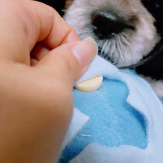 heimish님이 올린 리뷰 사진 3