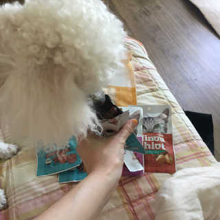 미누시아 촉촉한 닭안심 + 홍삼발효 훈제 말고기 — 4.67점을 준 리뷰어가 2018년 6월 올린 사용 사진