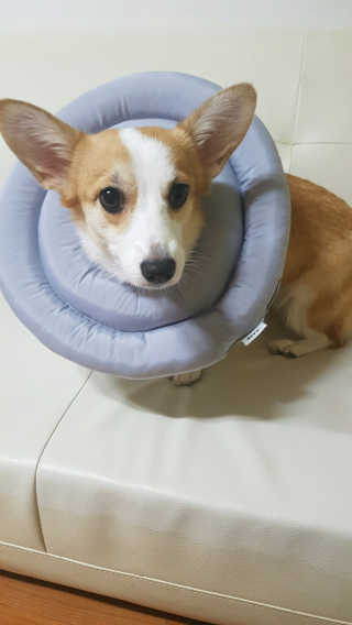 다영님이 올린 리뷰 사진 4
