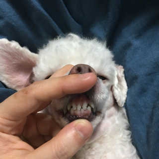 은지짱님이 올린 리뷰 사진 1