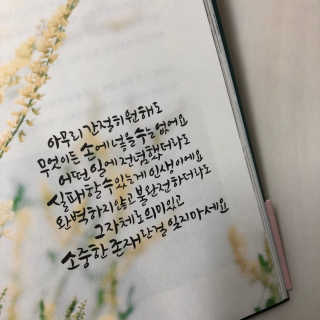 뇽이님이 올린 리뷰 사진 3