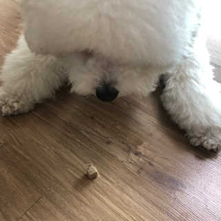 쨈님이 올린 리뷰 사진 3