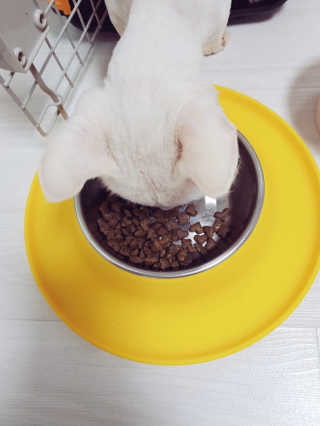 철이앰이님이 올린 리뷰 사진 2