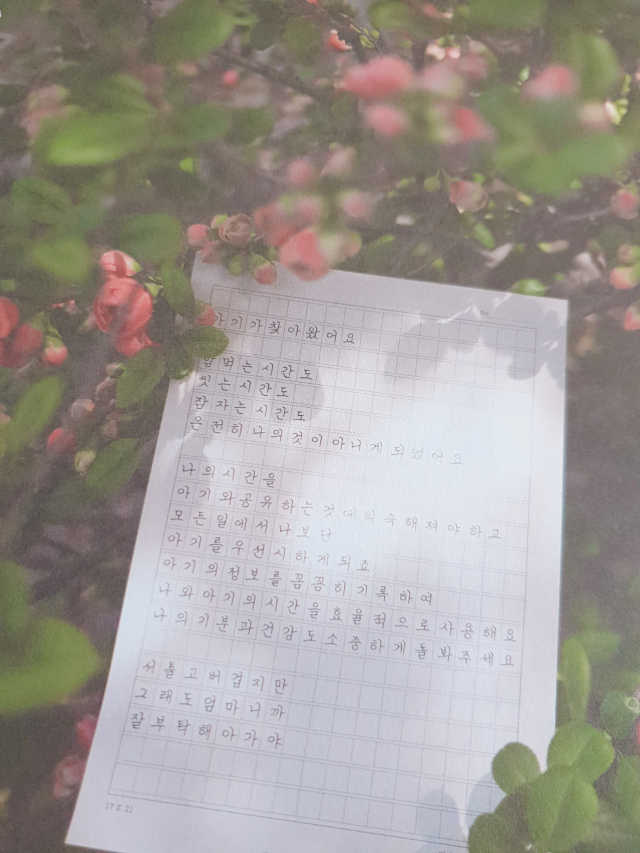 [6개월]서툴지만잘부탁해 육아다이어리 리뷰 사진