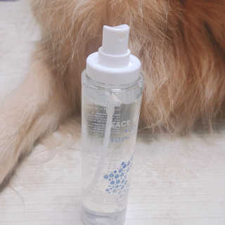 아보카도올리브님이 올린 리뷰 사진 3