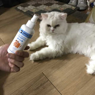 ㅈㅅ님이 올린 리뷰 사진 1