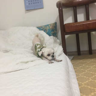 단발소녀님이 올린 리뷰 사진 2