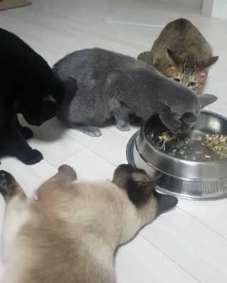사재긔님이 올린 리뷰 사진 1