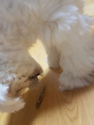 뽀오오옹님이 올린 리뷰 사진 3