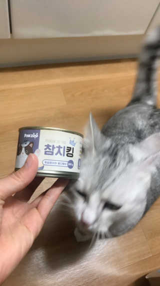 오래오니뚜님이 올린 리뷰 사진 1