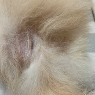 어거스트비님이 올린 리뷰 사진 3
