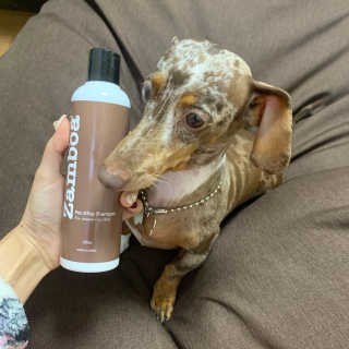 풀희띠님이 올린 리뷰 사진 2