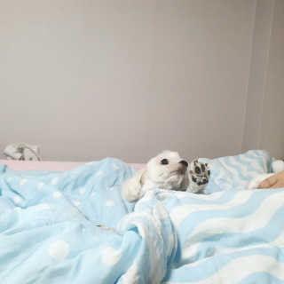 Ranny님이 올린 리뷰 사진 1