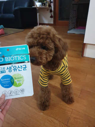 미세쓰킴님이 올린 리뷰 사진 3