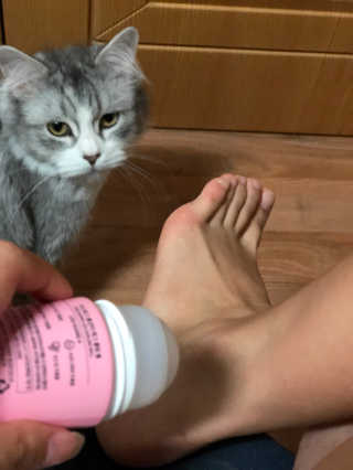 도토밤님이 올린 리뷰 사진 4