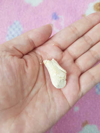제라늄님이 올린 리뷰 사진 4