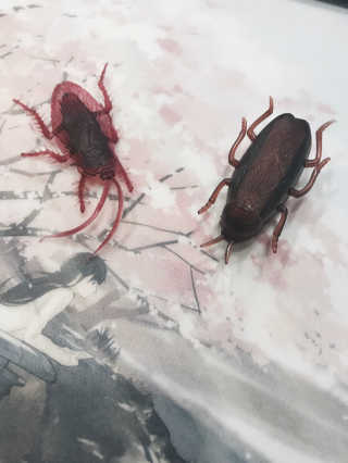 신혜인님이 올린 리뷰 사진 1