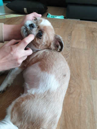 기룡이님이 올린 리뷰 사진 2